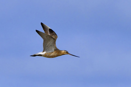 ���������� � �����